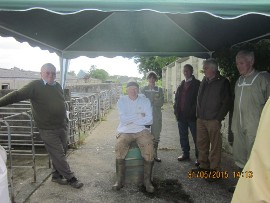More Members visiting the Association Apiary